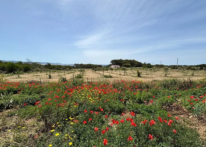 Casa Di Andrea Βίλα